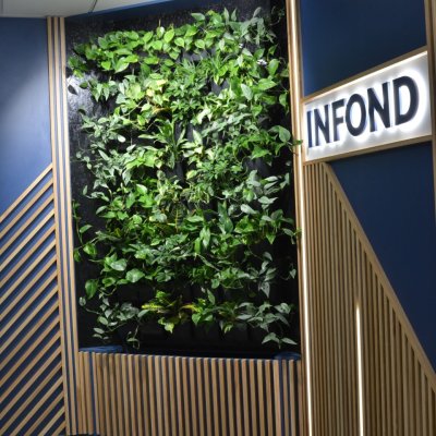 Zelená stěna doplňuje designový interiér.