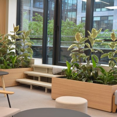 Moderní zeleň v kanceláři