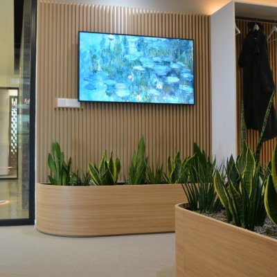 Moderní oblé truhlíky se zelenými rostlinami v interiéru firmy